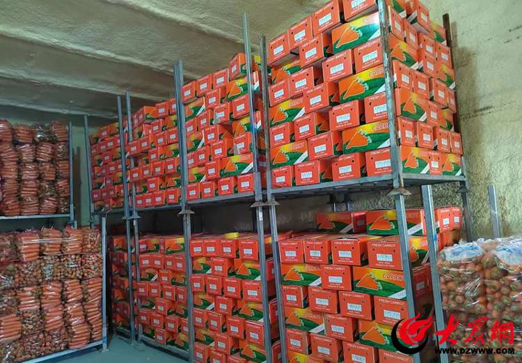 重规划 保供给 高质量建设农产品产地冷藏保鲜设施